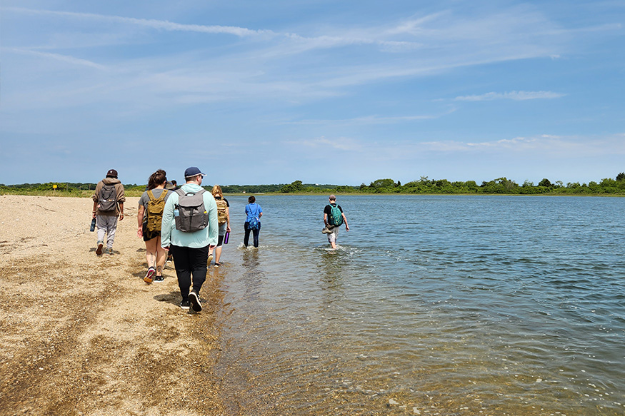 a group of people walking on the beach